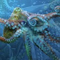 Ocean Arms